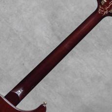 Paul Reed Smith [PRS] Private Stock Custom 24 Tiger Eye Smoked Burst w/Americana Birds Inlay / 2009_8