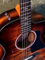 Taylor 224ce-Koa DLX C-Class Bracing #2204176342【48回迄金利0%対象】_3