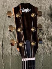Taylor 224ce-Koa DLX C-Class Bracing #2204176342【48回迄金利0%対象】_4