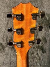 Taylor 224ce-Koa DLX C-Class Bracing #2204176342【48回迄金利0%対象】_5