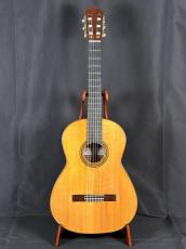 岩田博行 ハウザー　松/ホンジュラスローズウッド単板　　美品_2