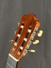 岩田博行 ハウザー　松/ホンジュラスローズウッド単板　　美品_4