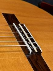 岩田博行 ハウザー　松/ホンジュラスローズウッド単板　　美品_9