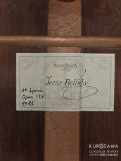 Jesus Bellido [へスス・べジード] ヘスス・ベジード 2025年製 ALMA AUREA S 松 20フレット 【日本総本店2F 在庫品】_4