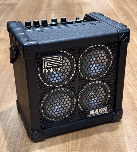 Roland MICRO CUBE BASS RX