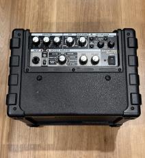Roland MICRO CUBE BASS RX_2