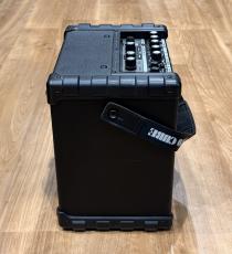 Roland MICRO CUBE BASS RX_5