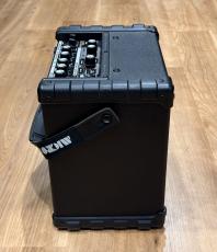 Roland MICRO CUBE BASS RX_6