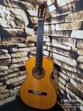 Jesus Bellido [へスス・べジード] ヘスス・ベジード 2025年製 ALMA AUREA フラメンコ 白 【日本総本店2F 在庫品】_2