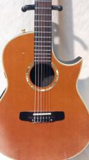 Morris TC-10_2