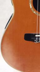 Morris TC-10_3