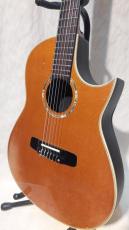Morris TC-10_5