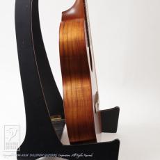 T's Buddy GB-200 (All Hawaiian Koawood)_5