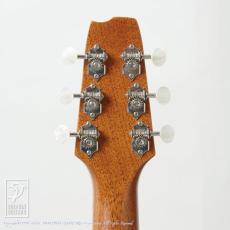 T's Buddy GB-200 (All Hawaiian Koawood)_7