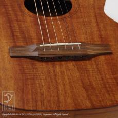 T's Buddy GB-200 (All Hawaiian Koawood)_8