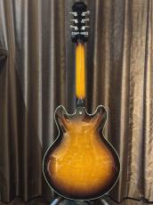 Aria Pro II CA-100-S_2