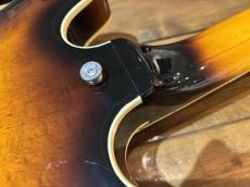 Aria Pro II CA-100-S_9