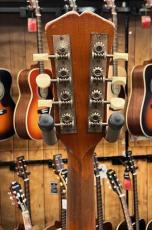 VEGA Vega Style-K Mandolin/Banjo Ca.1923_5