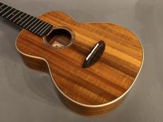 aNueNue AAA3 Tenor