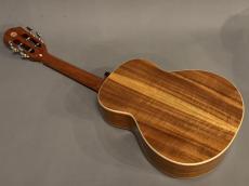 aNueNue AAA3 Tenor_3