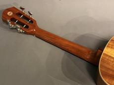 aNueNue AAA3 Tenor_7
