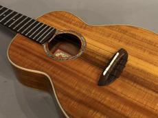 aNueNue AAA3 Tenor_8