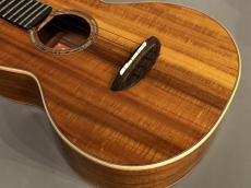 aNueNue AAA3 Tenor_9
