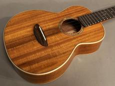 aNueNue AAA3 Tenor_10
