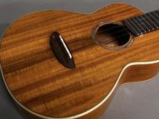 aNueNue AAA3 Tenor_11