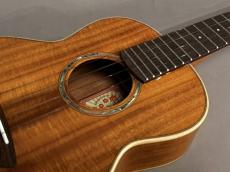 aNueNue AAA3 Tenor_12