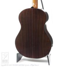 KEYSTONE Model-N (Nylon Strings)【デモ動画掲載】_3