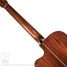 Greven Guitars Japan Oshio-DC HR_6