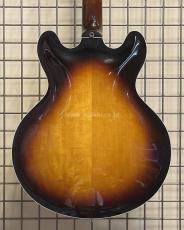 Shiro Tsuji Model ES-335_4