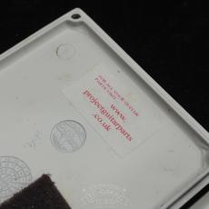 Burford Electronics Sitar_6