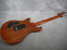 Paul Reed Smith [PRS] Custom24 Orange Birds 2009_3