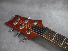 Paul Reed Smith [PRS] Custom24 Orange Birds 2009_8