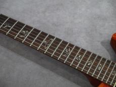 Paul Reed Smith [PRS] Custom24 Orange Birds 2009_9