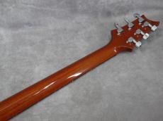 Paul Reed Smith [PRS] Custom24 Orange Birds 2009_11