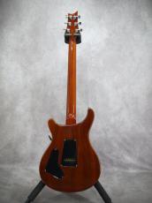 Paul Reed Smith [PRS] Custom24 Orange Birds 2009_13
