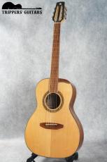 Iwaneko Guitars Type-N (2017) プライスを考えればとても魅力な1本です!_2