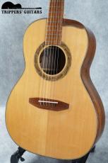 Iwaneko Guitars Type-N (2017) プライスを考えればとても魅力な1本です!_4