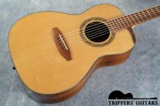 Iwaneko Guitars Type-N (2017) プライスを考えればとても魅力な1本です!_14