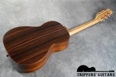 Iwaneko Guitars Type-N (2017) プライスを考えればとても魅力な1本です!_15