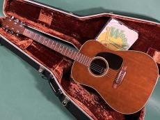 Martin D-19