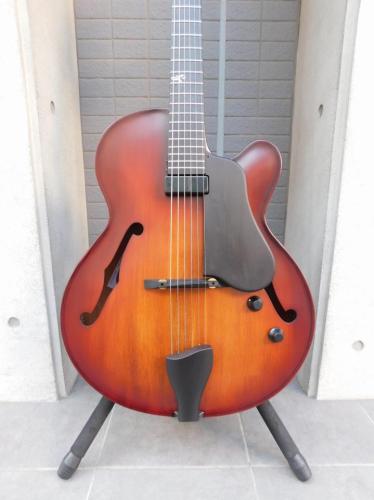 Landscape AR-101 フルアコ