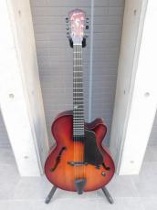 Landscape AR-101 フルアコ_2