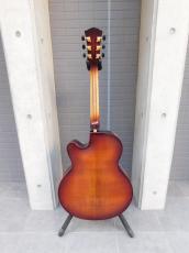 Landscape AR-101 フルアコ_4