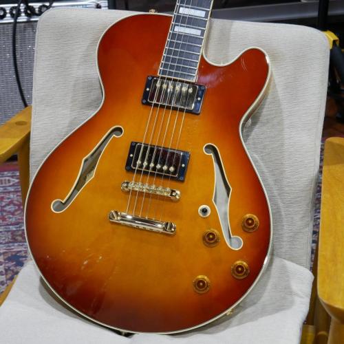 Crews Maniac Sound GBNY-1 STP / Violin Finish 【Stop Tailpiece仕様】【USED】