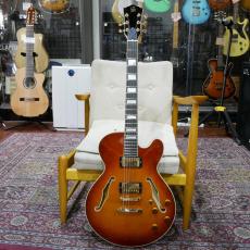 Crews Maniac Sound GBNY-1 STP / Violin Finish 【Stop Tailpiece仕様】【USED】_2