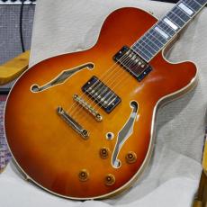 Crews Maniac Sound GBNY-1 STP / Violin Finish 【Stop Tailpiece仕様】【USED】_3